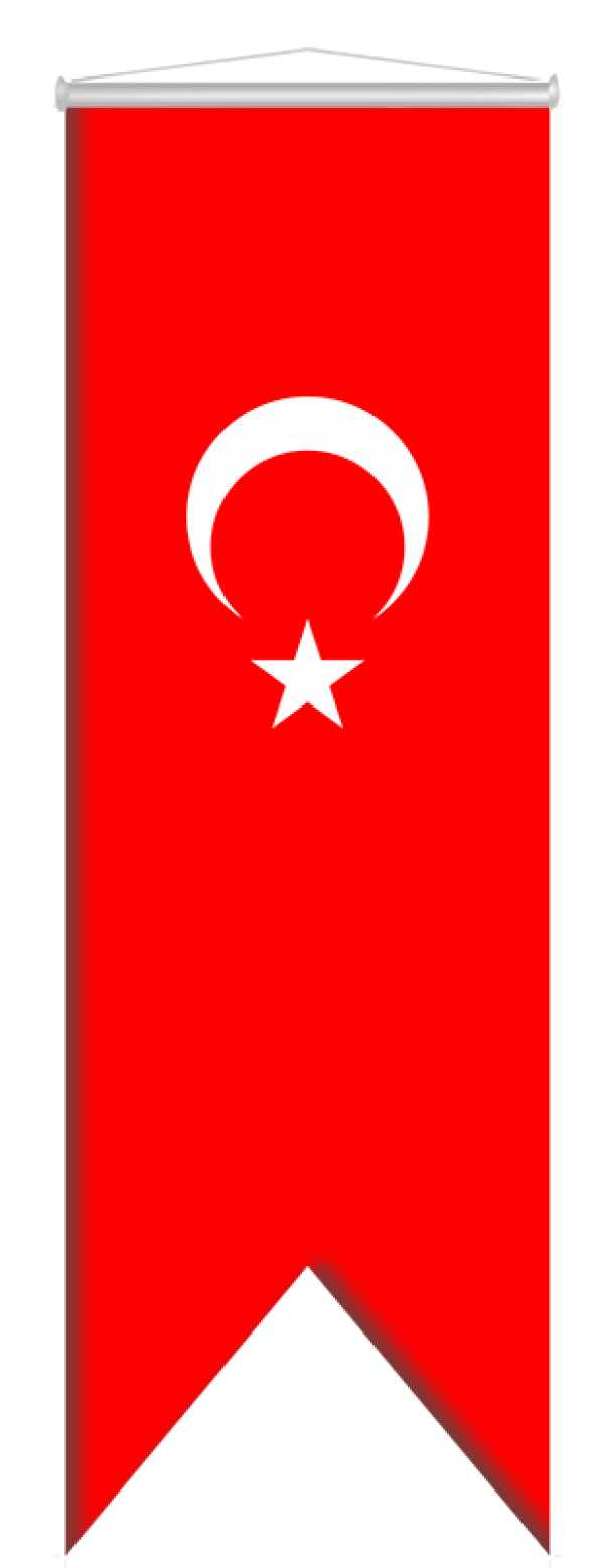 Türk Bayrağı