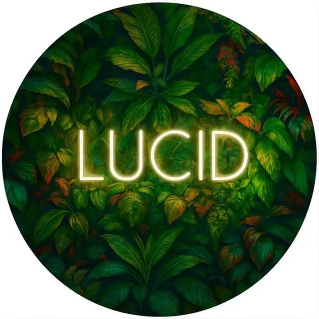 LUCİD