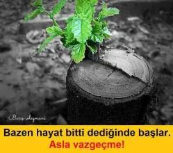 Ateş Sahaf