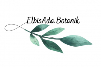 ElbisAda Botanik