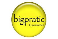 bigpratic