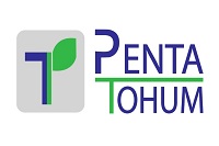 PENTA TOHUM