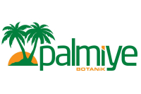 Palmiye Botanik