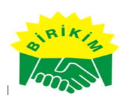 birikimavm