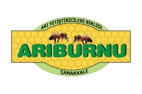Arıburnu