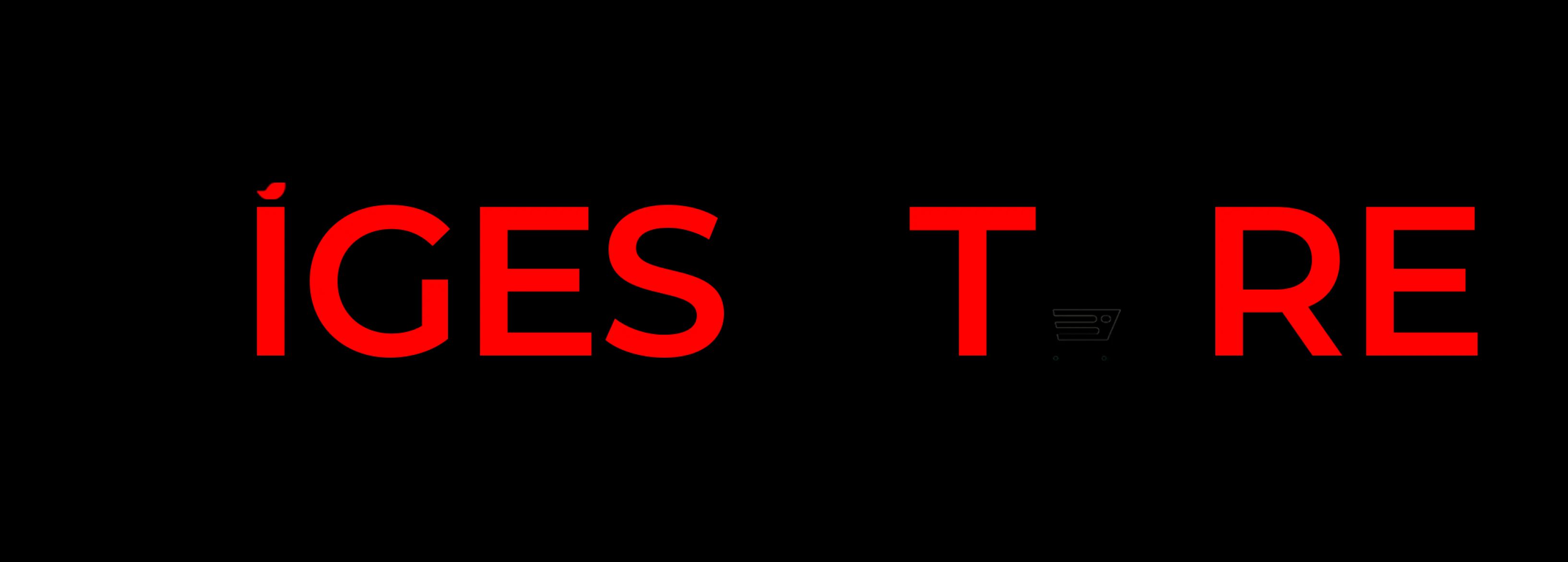 VigesStore