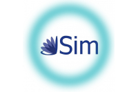 SİM DTM