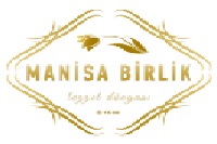 MANİSA BİRLİK