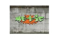 Metic