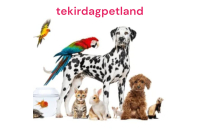 PETLAND PETSHOP