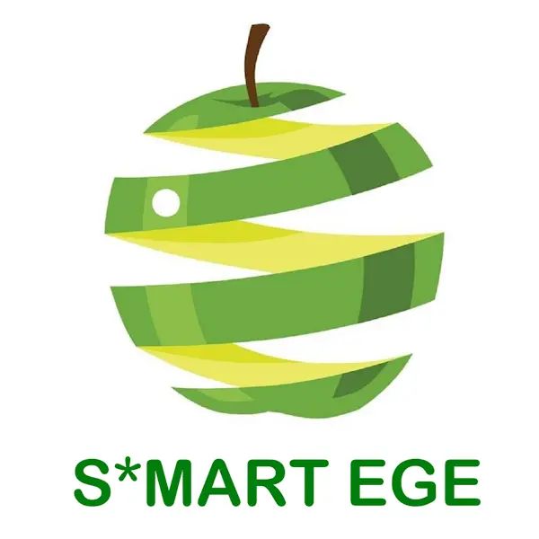 SMARTEGE