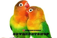 SevdePetshop