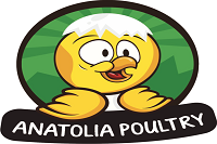 Anatolia poultry