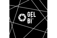 Gelbi