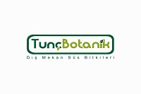 tuncbotanik