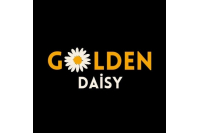 GOLLDENDAİSY