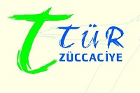 tür züccaciye