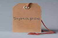 Synapsee