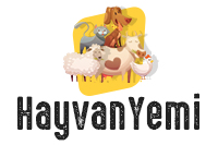 Hayvan Yemi