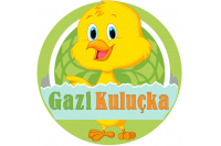 Gazi Kuluçka