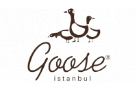 GOOSE