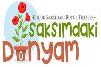 Saksımdaki Dünyam