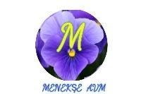 Menekşe AVM
