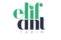 Elifanttarım