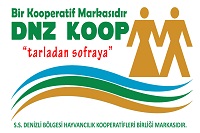 DNZKOOP