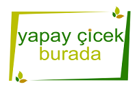 YAPAYCİCEKBURADA