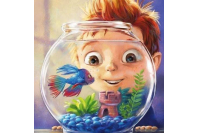 Betta Didyma Petshop