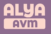 ALYAAVM