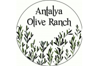 ANTALYA ZEYTİN ÇİFTLİĞİ