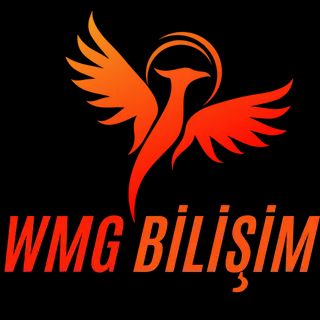wmg bilişim