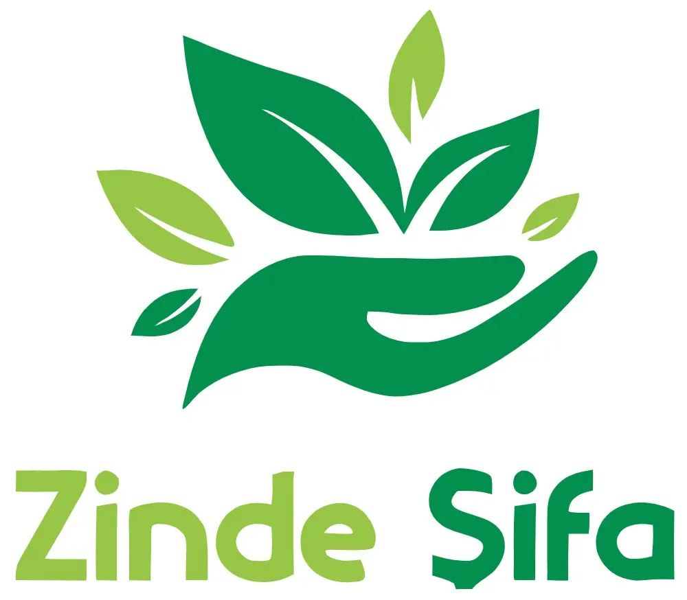 Zindeşifa