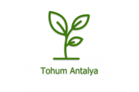 TOHUM ANTALYA
