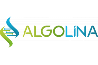 ALGOLİNA
