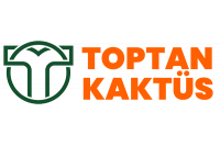 TOPTAN KAKTÜS