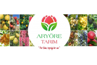 ARYÖRE TARIM