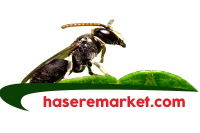 Haşere Market