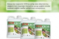 TARBOR İHRACAT TİCARET