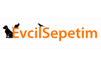 Evcil sepetim