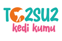 TOZSUZ KEDİ KUMU