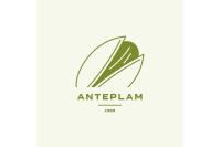 Anteplam