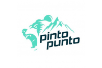 PİNTOPUNTO