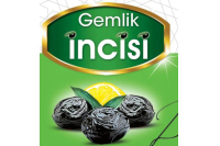 GEMLİK İNCİSİ