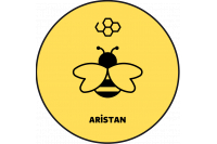 ARİSTAN