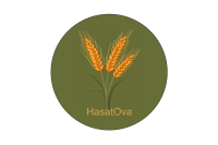 Hasat Ova