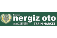 nergizoto