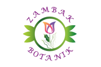 Zambak Botanik